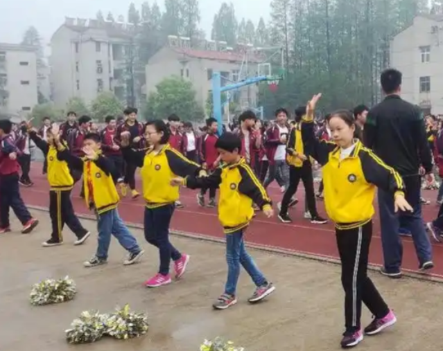 全面发展规律扎实做好根底的文章促进学